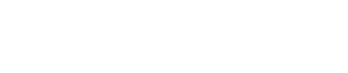 Logo Bionenergie Nord