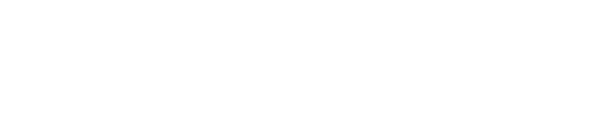Logo Bionenergie Nord