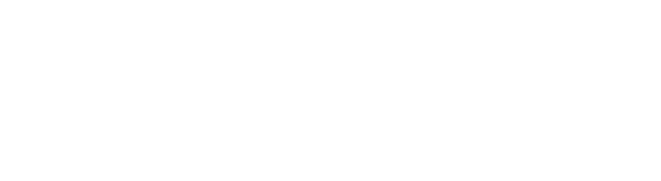 Logo Bionenergie Nord